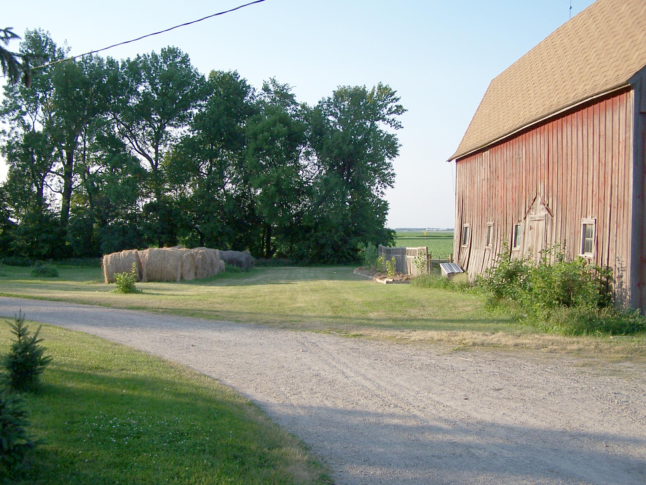 at the farm